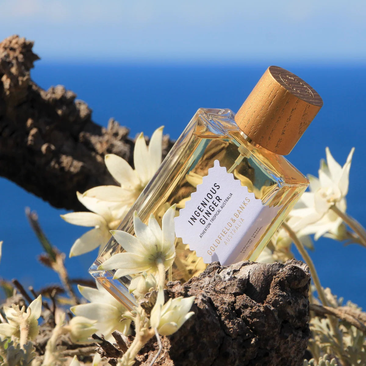 Goldfield & Banks Ingenious Ginger Eau de Parfum 100ml